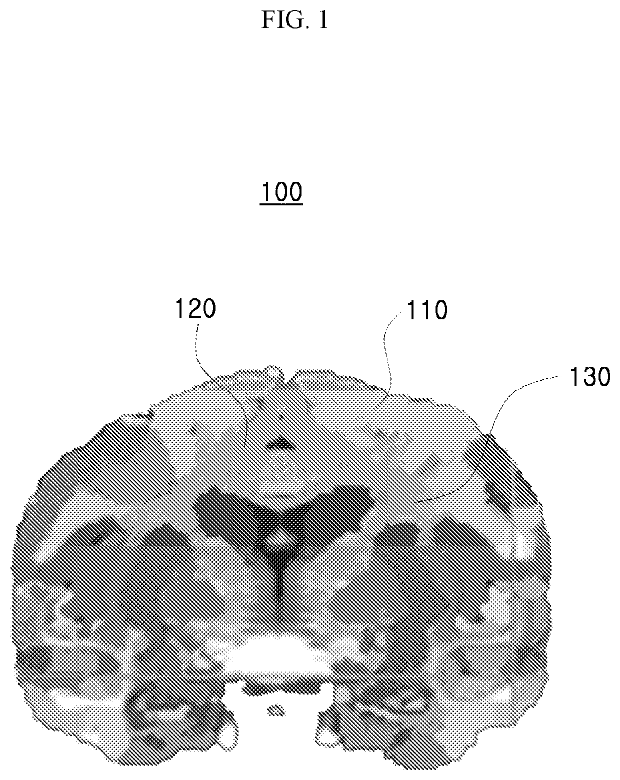 Neurotransmitter-based brain mapping method and use of brain map