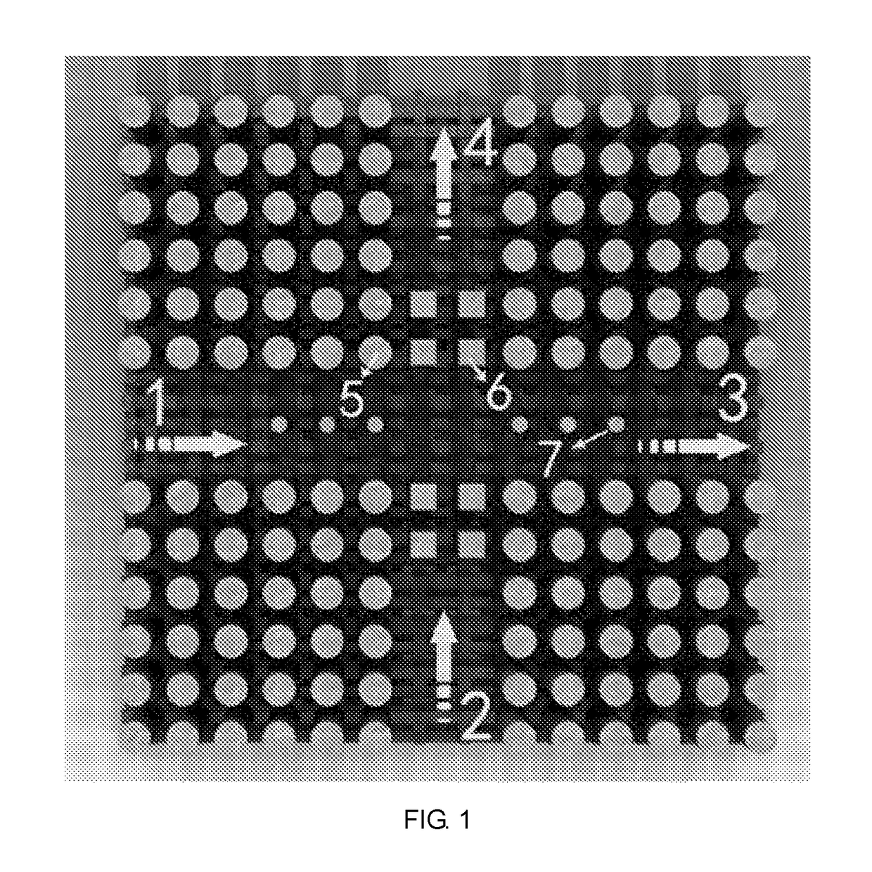 Cross-shaped infrared polarized light bridge based on photonic crystal waveguide