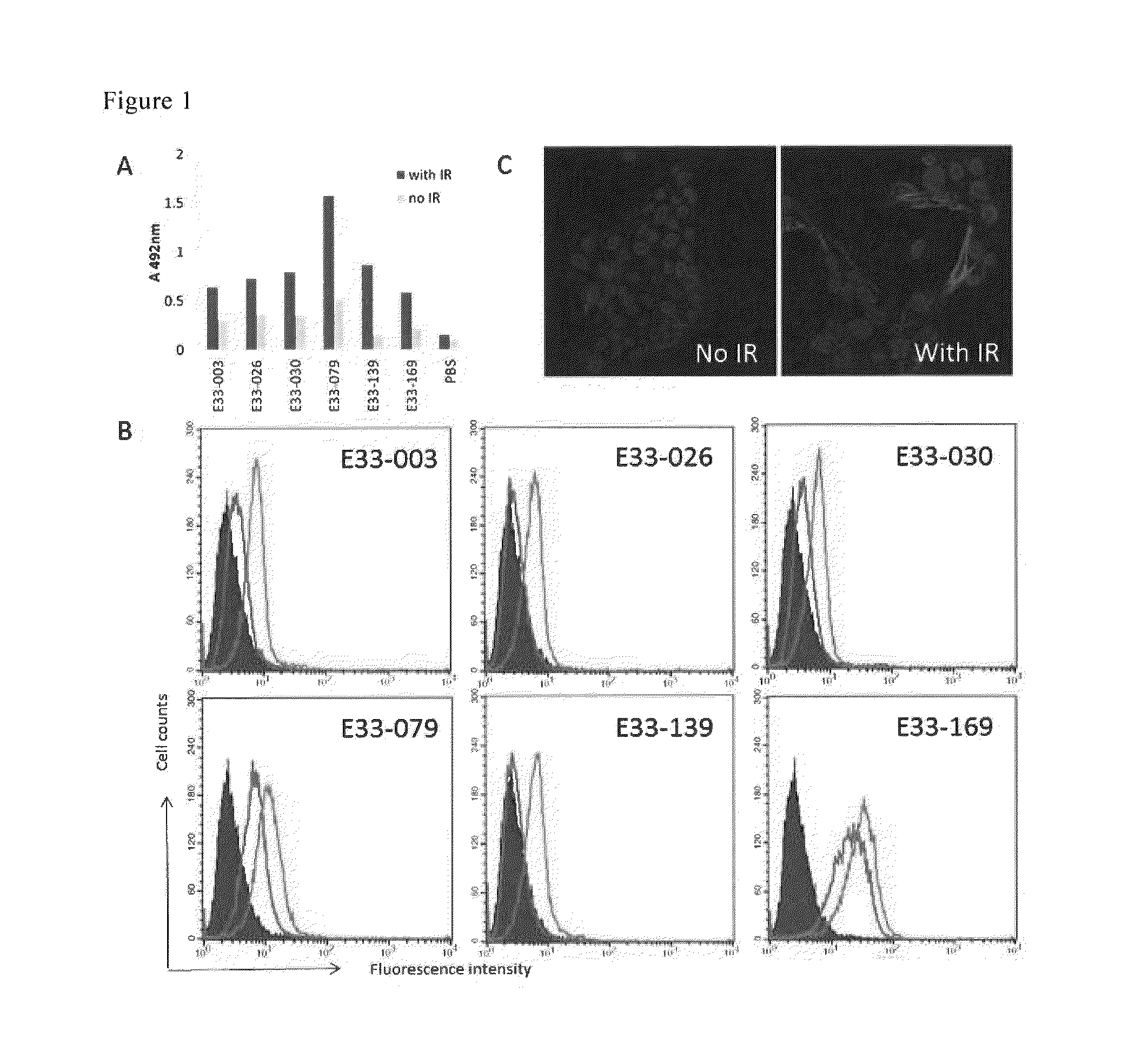 Method for detecting cellular DNA damage and antibody against  cell surface antigen responsive to DNA strand breaks