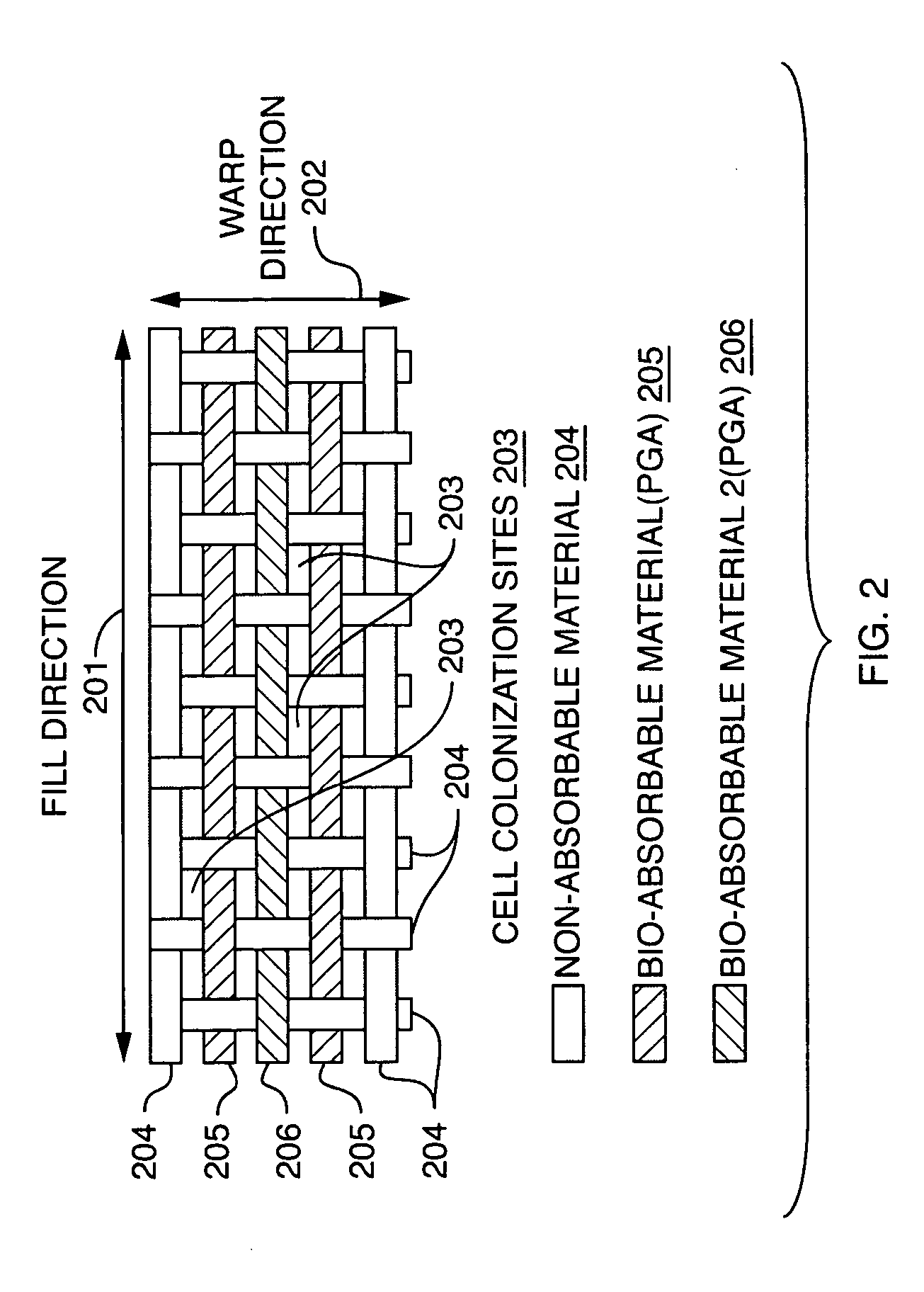 Controlled absorption biograft material for autologous tissue support