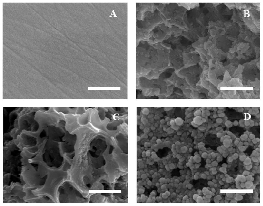 An electrochemical sensor and its preparation and application