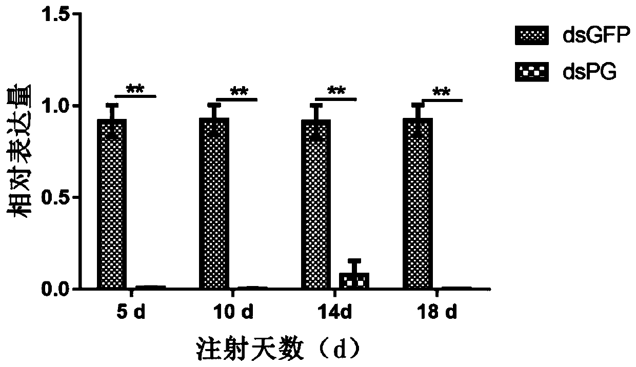 Adelphocoris suturalis reproduction related protein PG, and coding gene, dsRNA interference sequence and application thereof