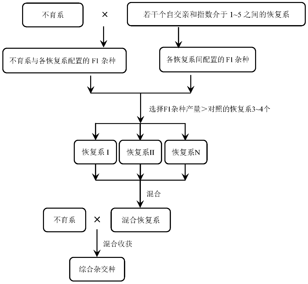 A kind of breeding method of comprehensive hybrid of rapeseed