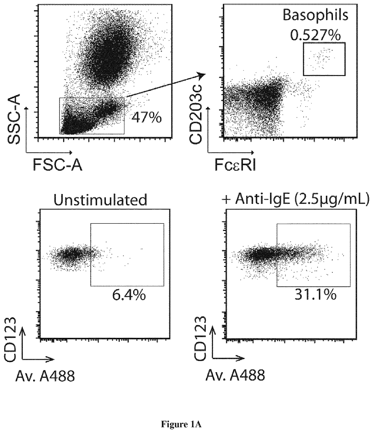 Methods and kits for detecting basophil activation