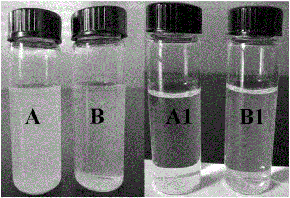 Preparation method and application of carbon nitrogen/titanium dioxide composite material