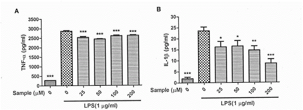 Application of naucleamide G in preparation of anti-inflammatory drug