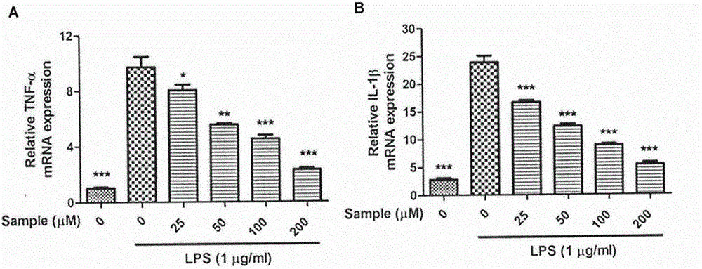 Application of naucleamide G in preparation of anti-inflammatory drug