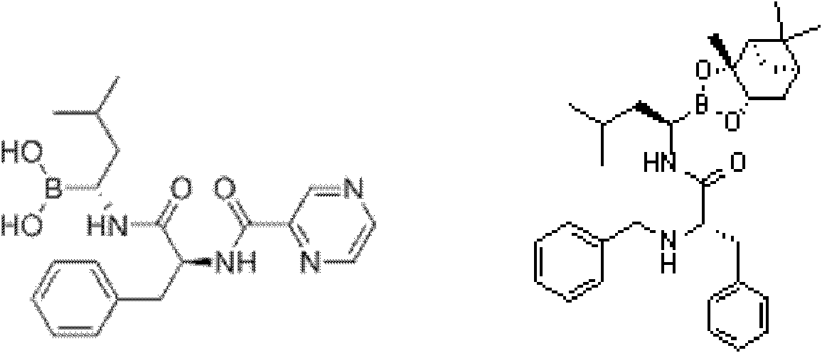 Method for synthesizing bortezomib