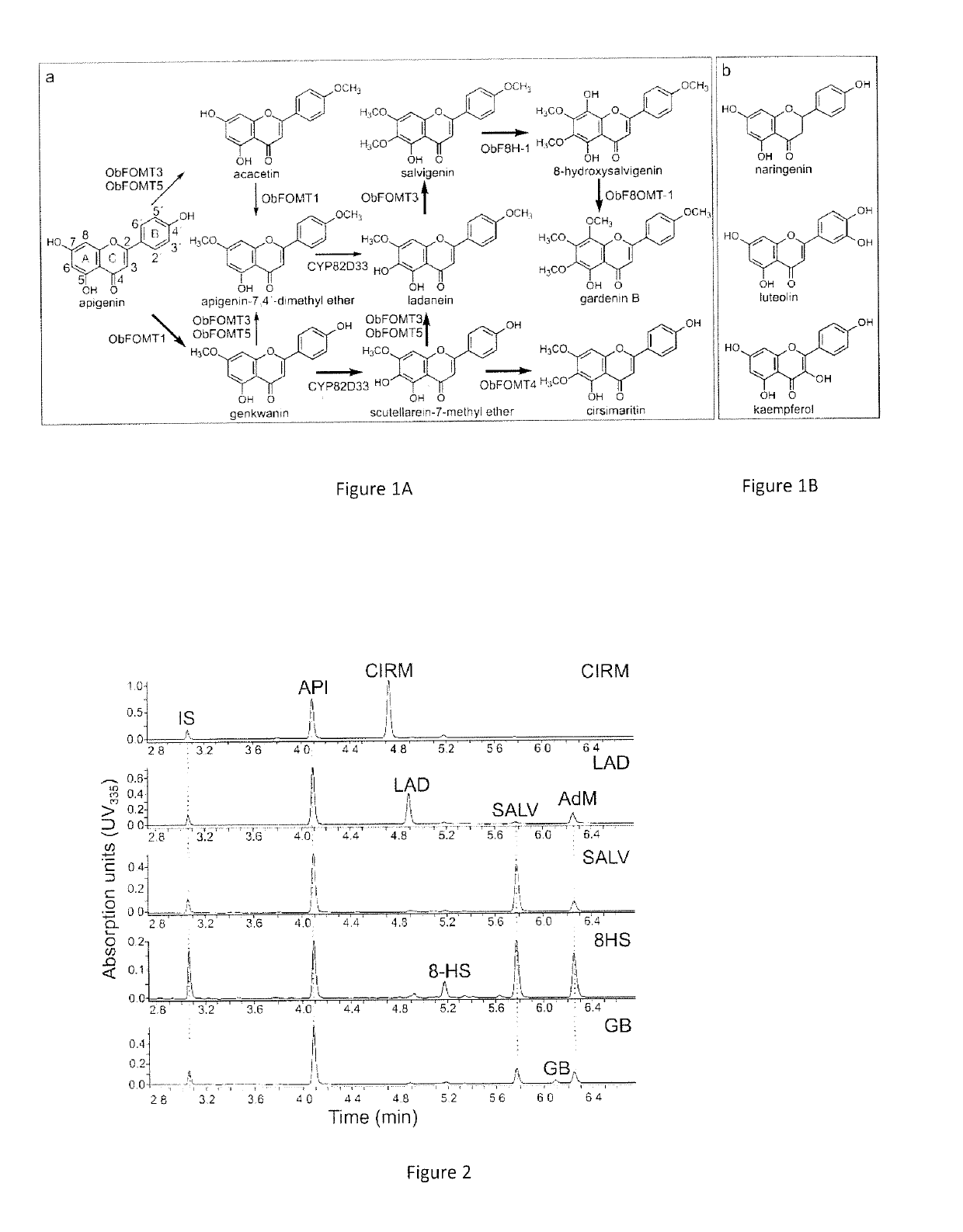 Production of hydroxylated and methoxylated flavonoids in yeast by expression specific enzymes