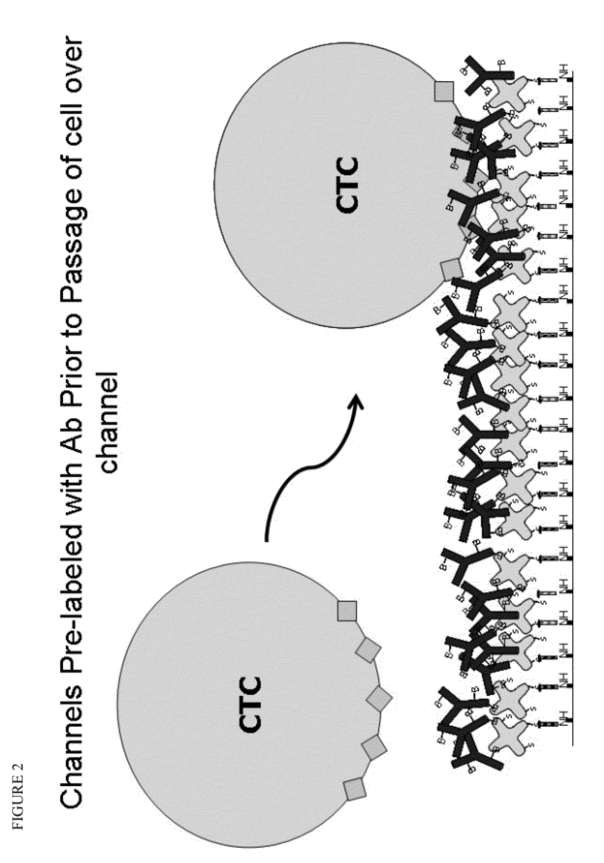 Devices and methods of cell capture and analysis