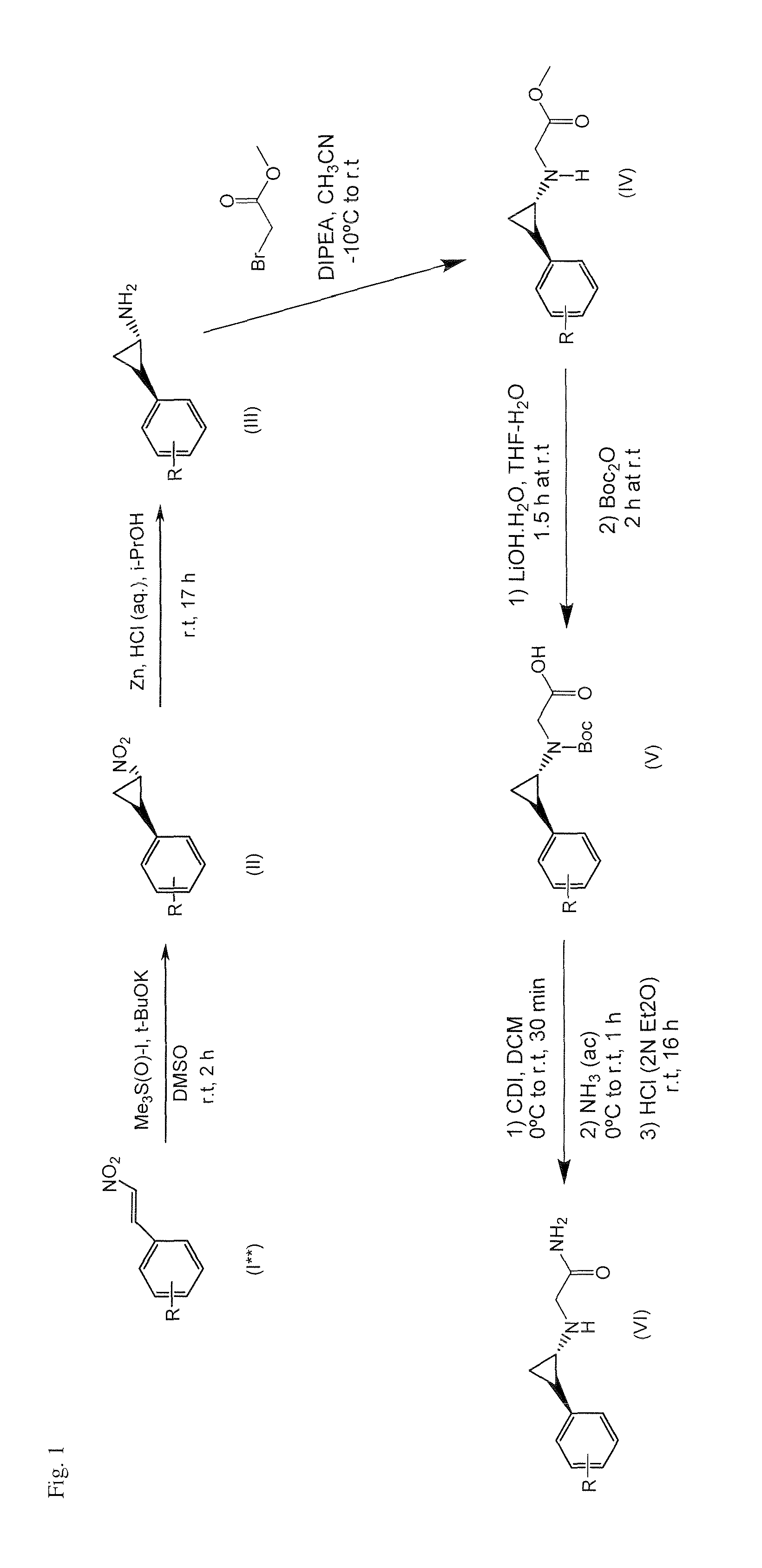 Substituted heteroaryl- and aryl-cyclopropylamine acetamides and their use