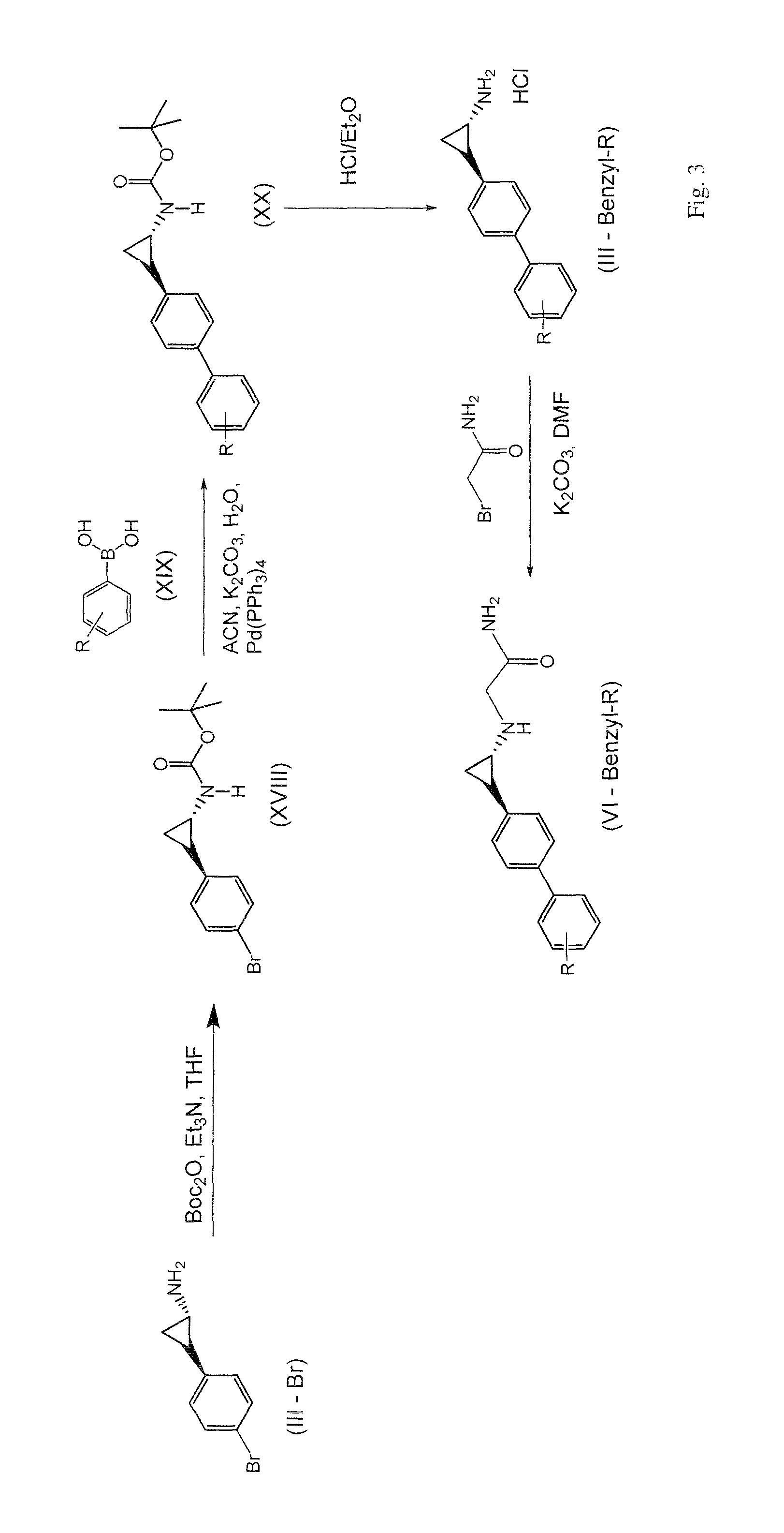 Substituted heteroaryl- and aryl-cyclopropylamine acetamides and their use