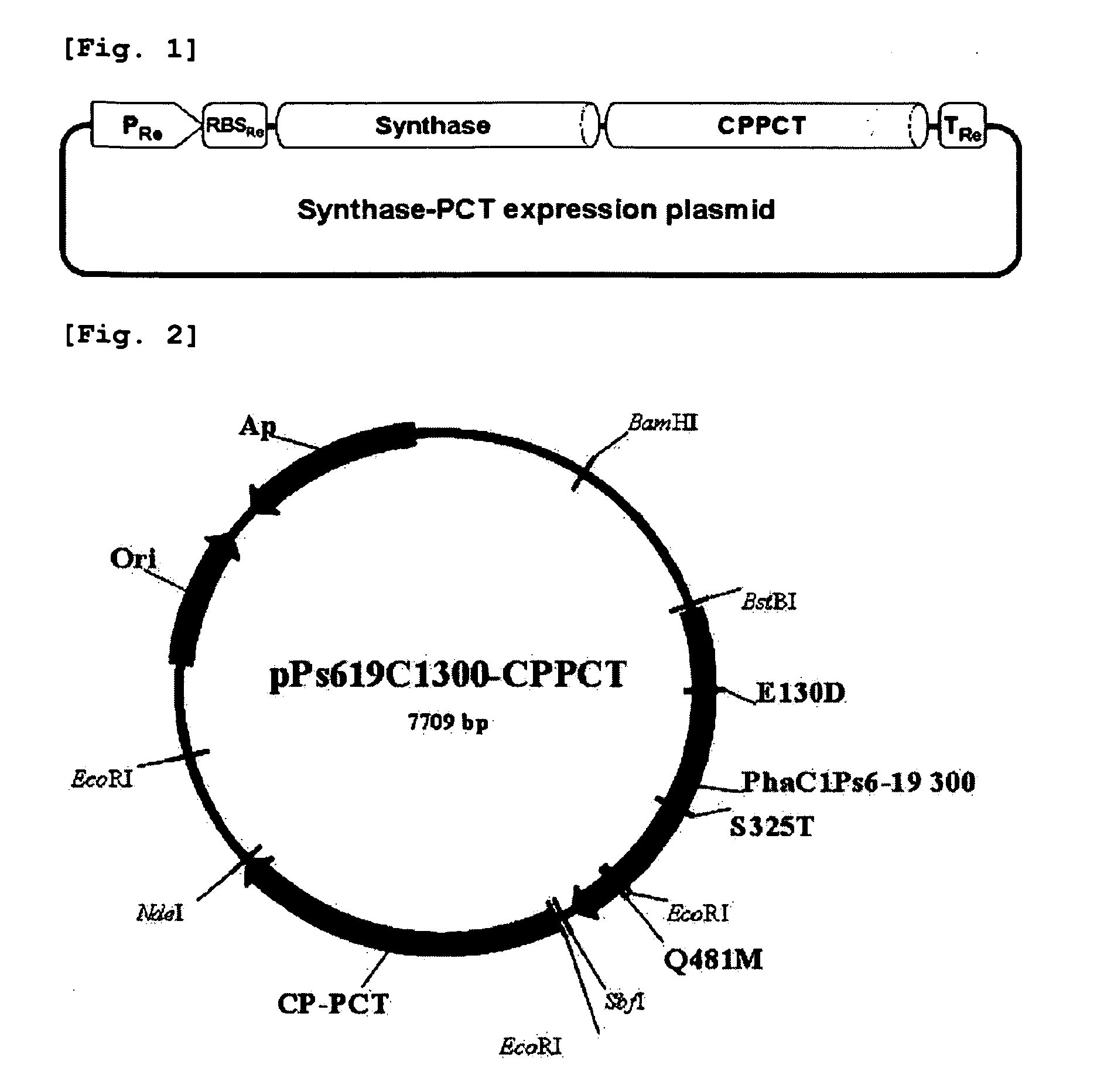 Copolymer comprising 4-hydroxybutyrate unit and lactate unit and its manufacturing method