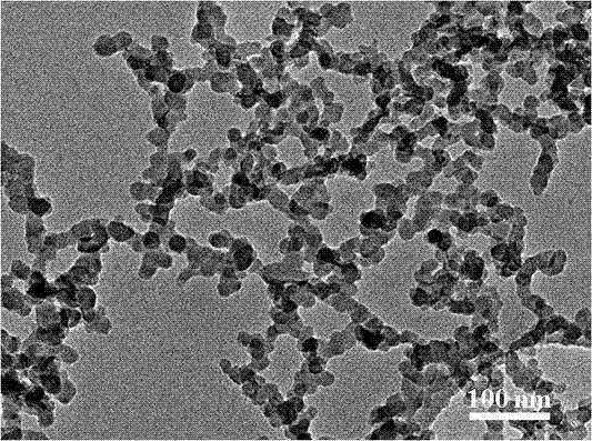 Preparation method of flexible carbon nanoparticle and application of method