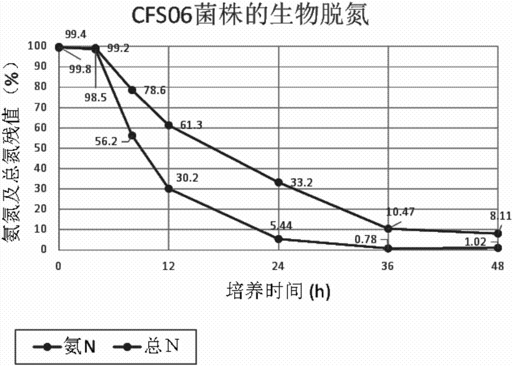 Heterotrophic nitrification and aerobic denitrification Citrobacter species and application thereof