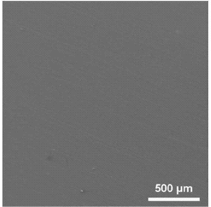 Surface modification method of magnesium alloy