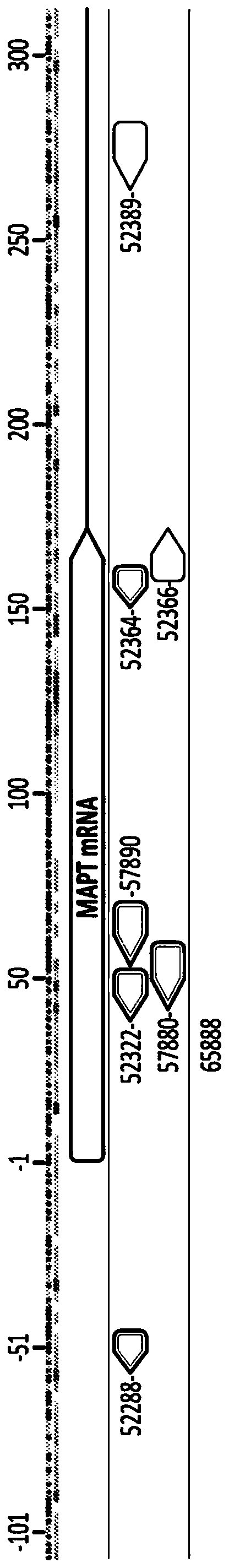 Tau modulators and methods and compositions for delivery thereof