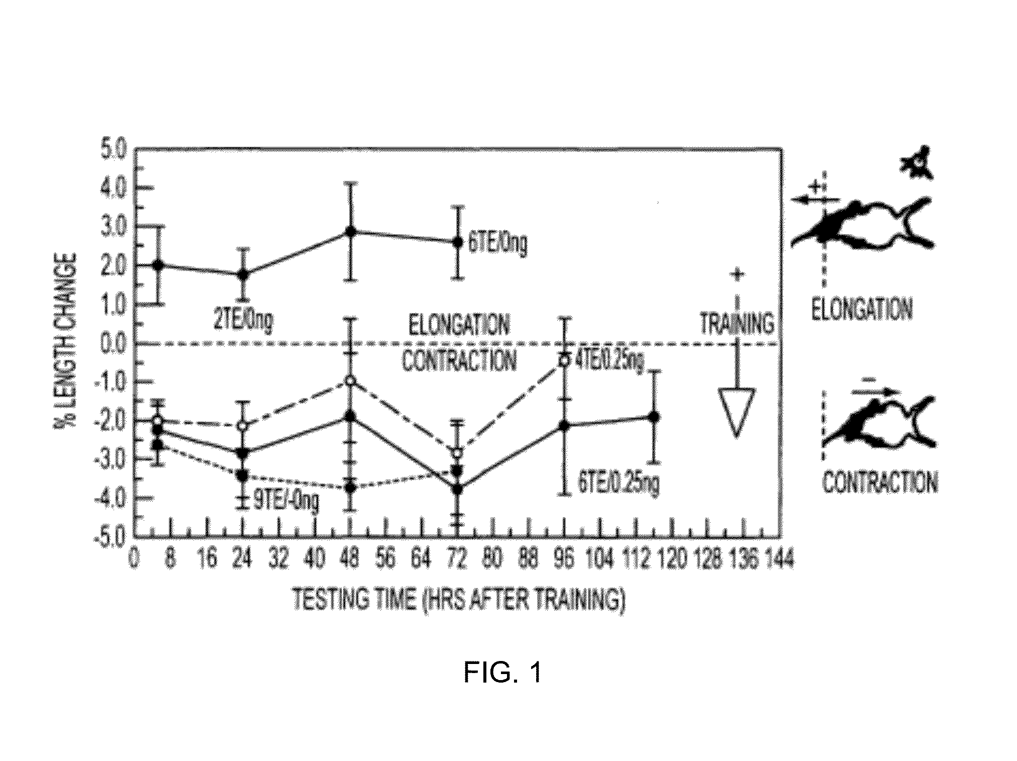 Methods of stimulating cellular growth, synaptic remodeling and consolidation of long-term memory