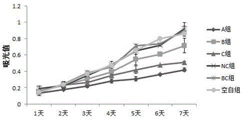 siRNA that inhibits er81 gene expression and its application in breast cancer cells