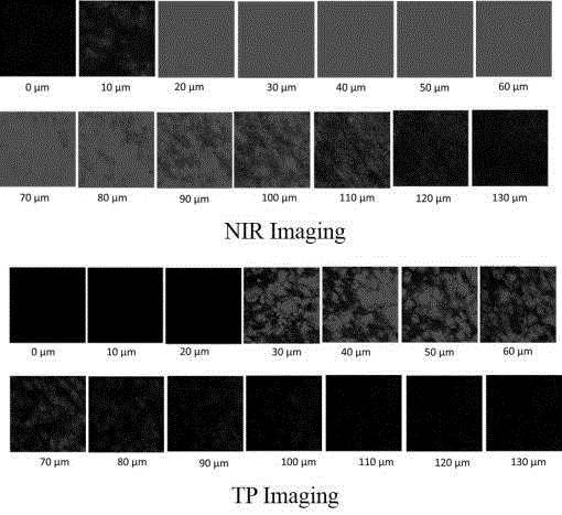 Near-infrared and two-photon dual-mode imaging fluorescence probe, as well as preparation and application thereof