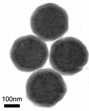 Surface-enhanced Raman scattering (SERS) tag microsphere and preparation method thereof