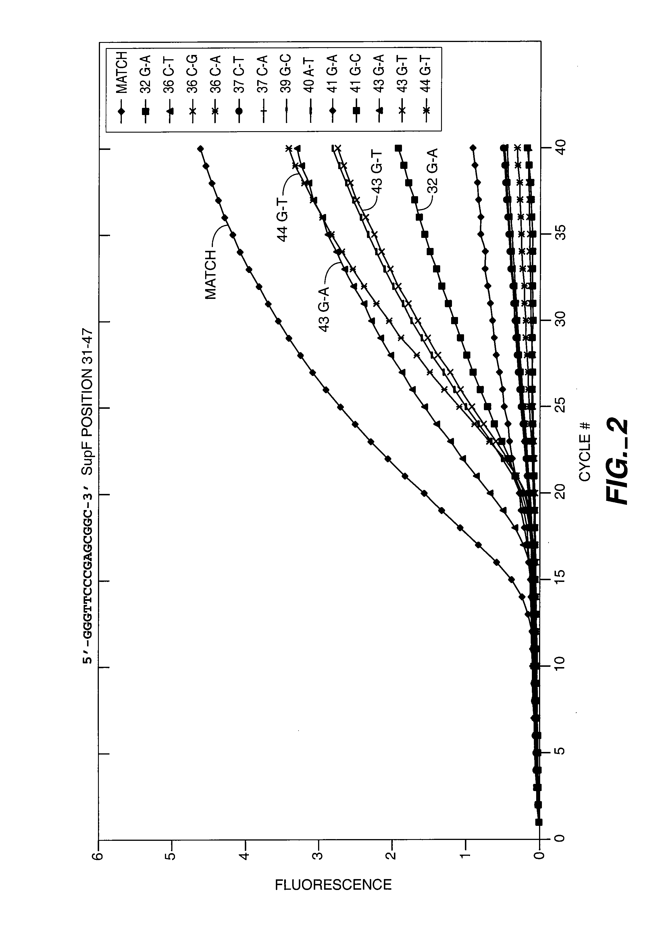 Oligonucleotides containing pyrazolo[3,4-d] pyrimidines for hybridization and mismatch discrimination