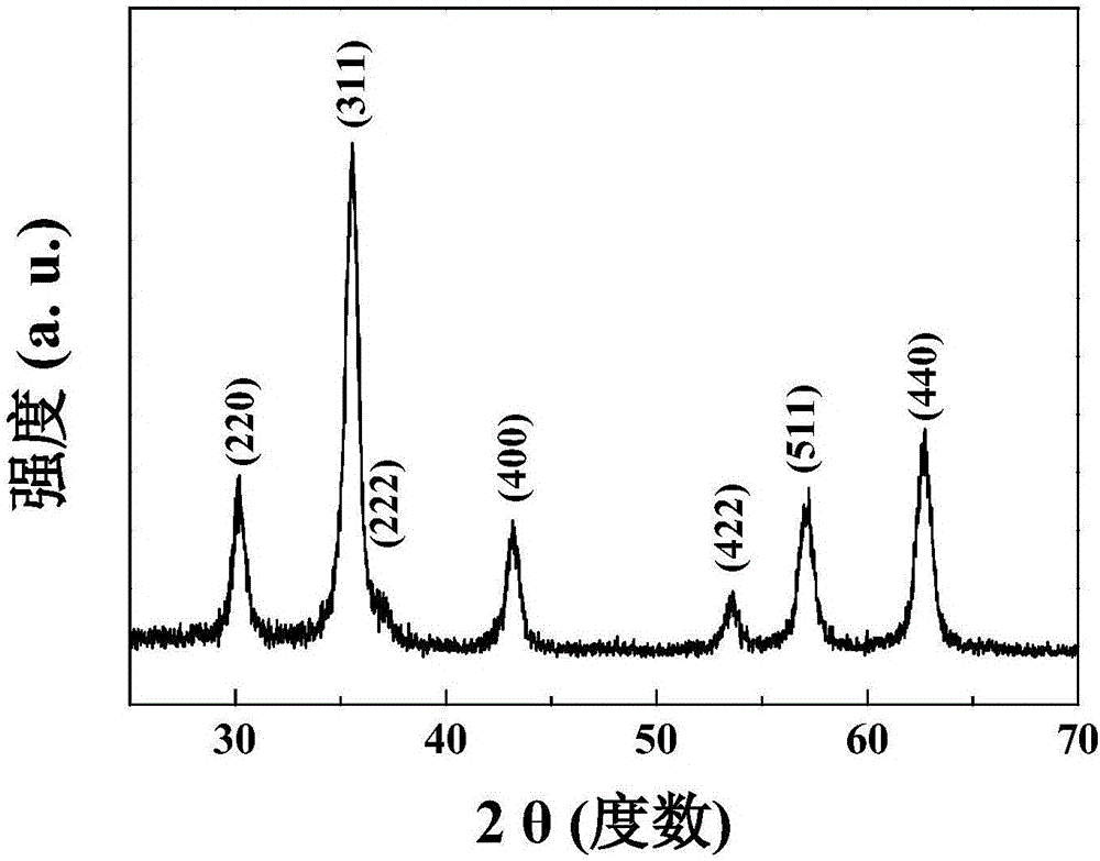 Superparamagnetic Fe3O4 coated by oleic acid and preparation method thereof