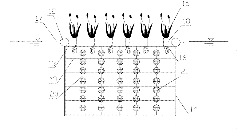 Movable type plant floating island chain applicable to estuary of lake