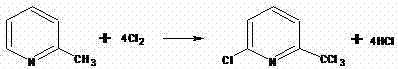 Production method of 6-chloro-2-(trichloromethyl)pyridine