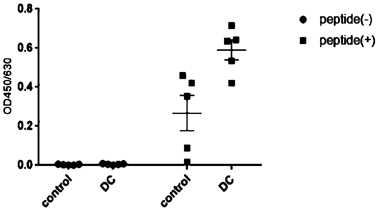 Herpes simplex virus relevant antigen short chain polypeptide and application thereof