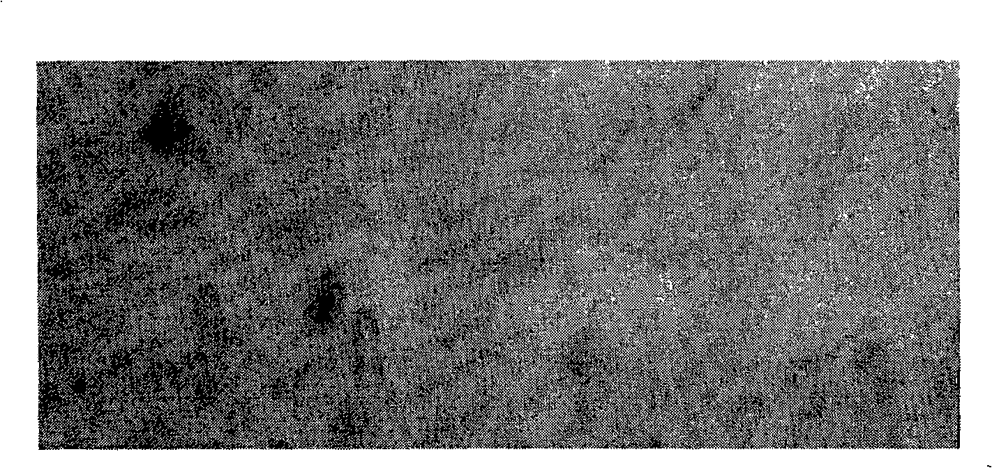 Functional ceramic powder material , preparation and use thereof