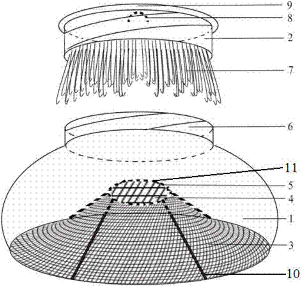 Bionic trapping device and trapping method for living frankliniella occidentalis