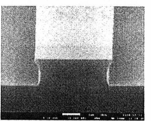 A photosensitive resin composition and a method forming a pattern using the same
