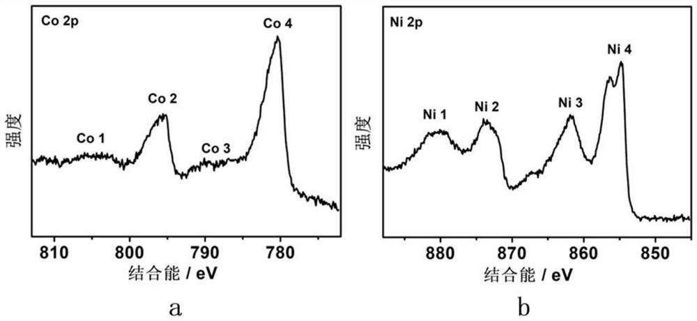 Cobaltosic oxide-nickel oxide double-layer mesoporous nanotube composite material as well as preparation method and application thereof