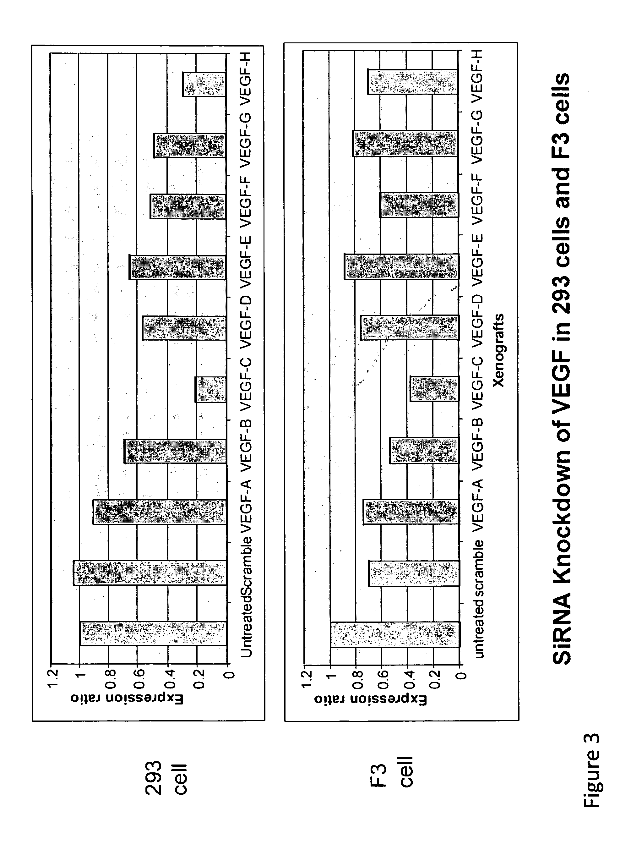 Compositions and methods using siRNA molecules for treatment of gliomas