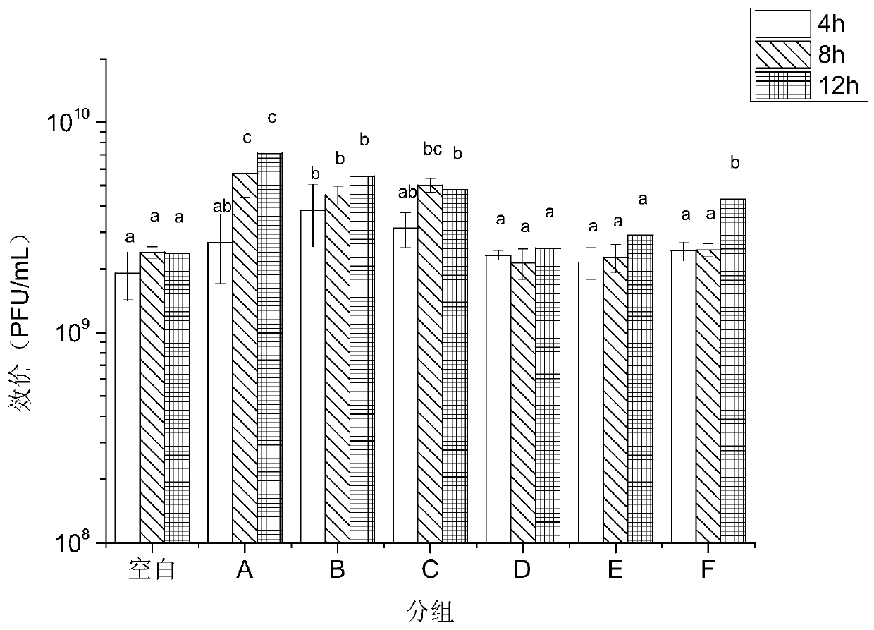 Salmonella phage preparation and preparation method thereof