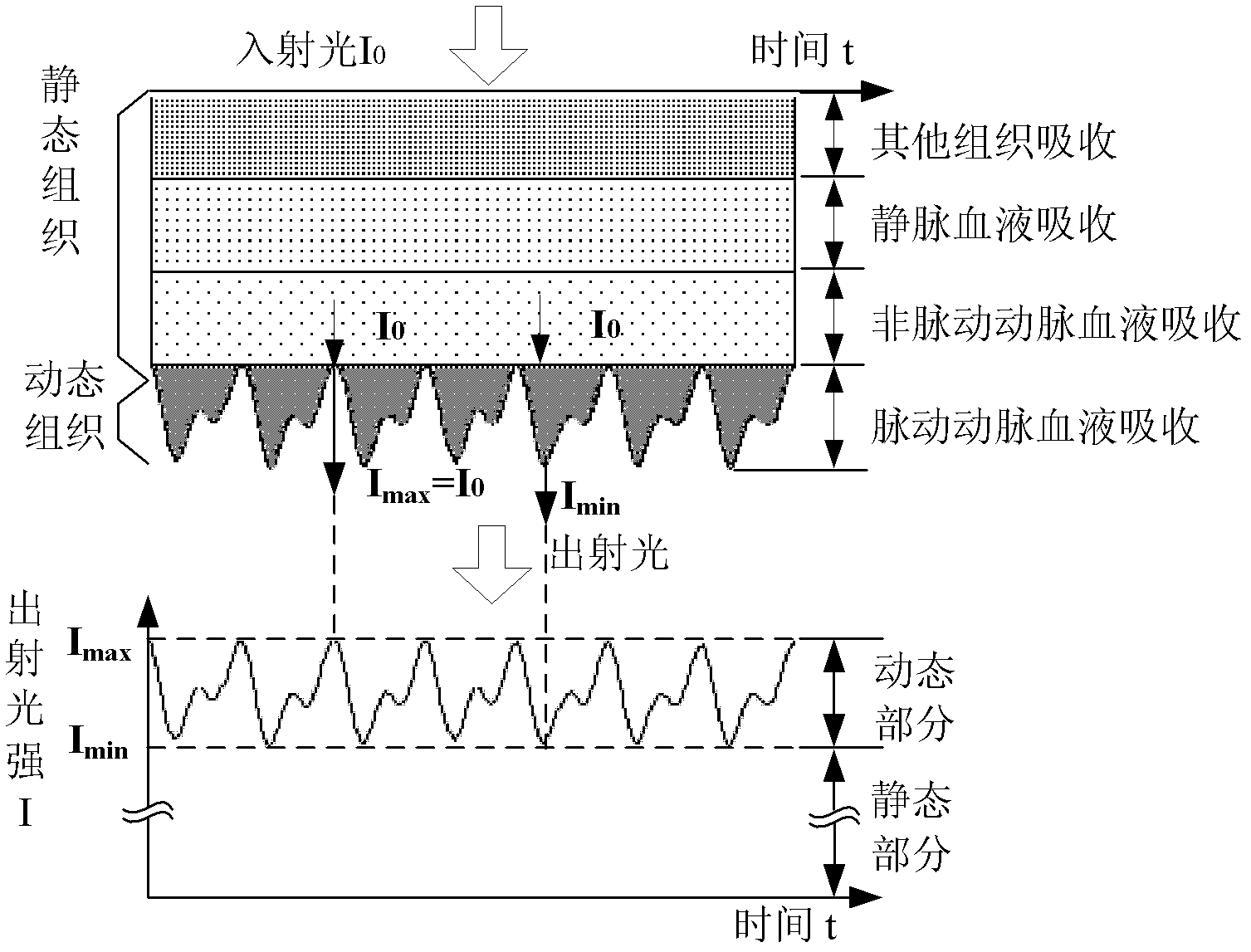 Device and method for measuring orthogonal sine wave photoelectric volume pulse wave