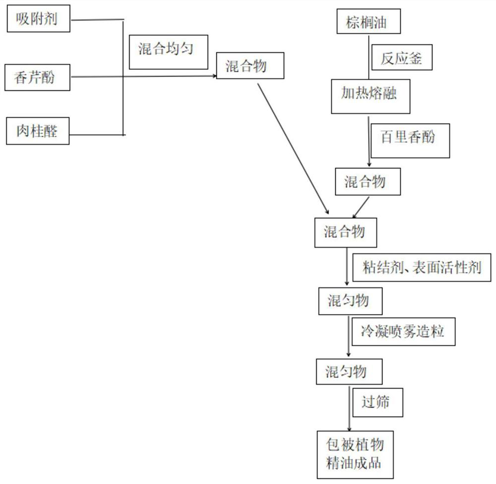 Coated plant essential oil for piglets and preparation method of coated plant essential oil