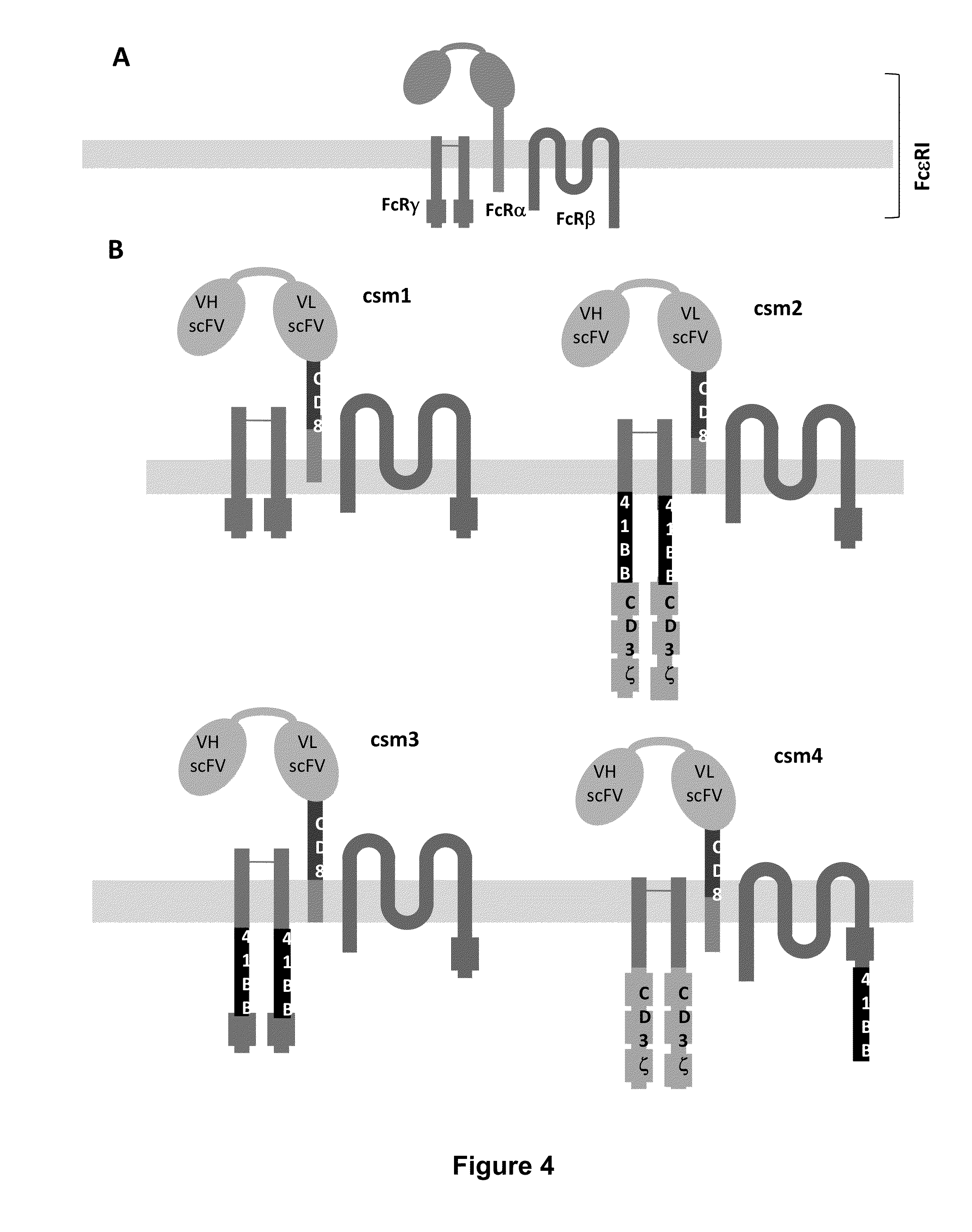 Methods for engineering allogeneic and immunosuppressive resistant t cell for immunotherapy