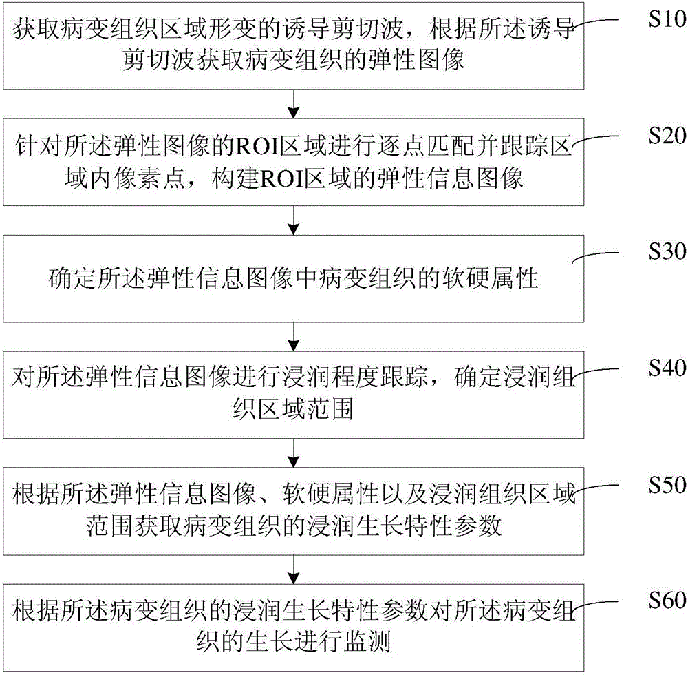 Pathological tissue growth monitoring method and system