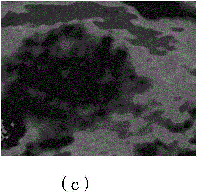 Pathological tissue growth monitoring method and system