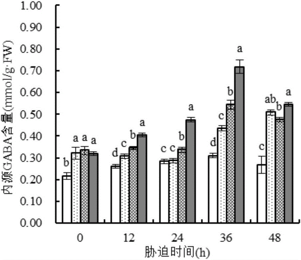 Application of Gamma-aminobutyric acid in enhancing salt-stressed maize photosynthesis and regulating endogenous hormone