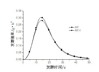 Method for breeding fast fermentation yellow wine Saccharomyces cerevisiae