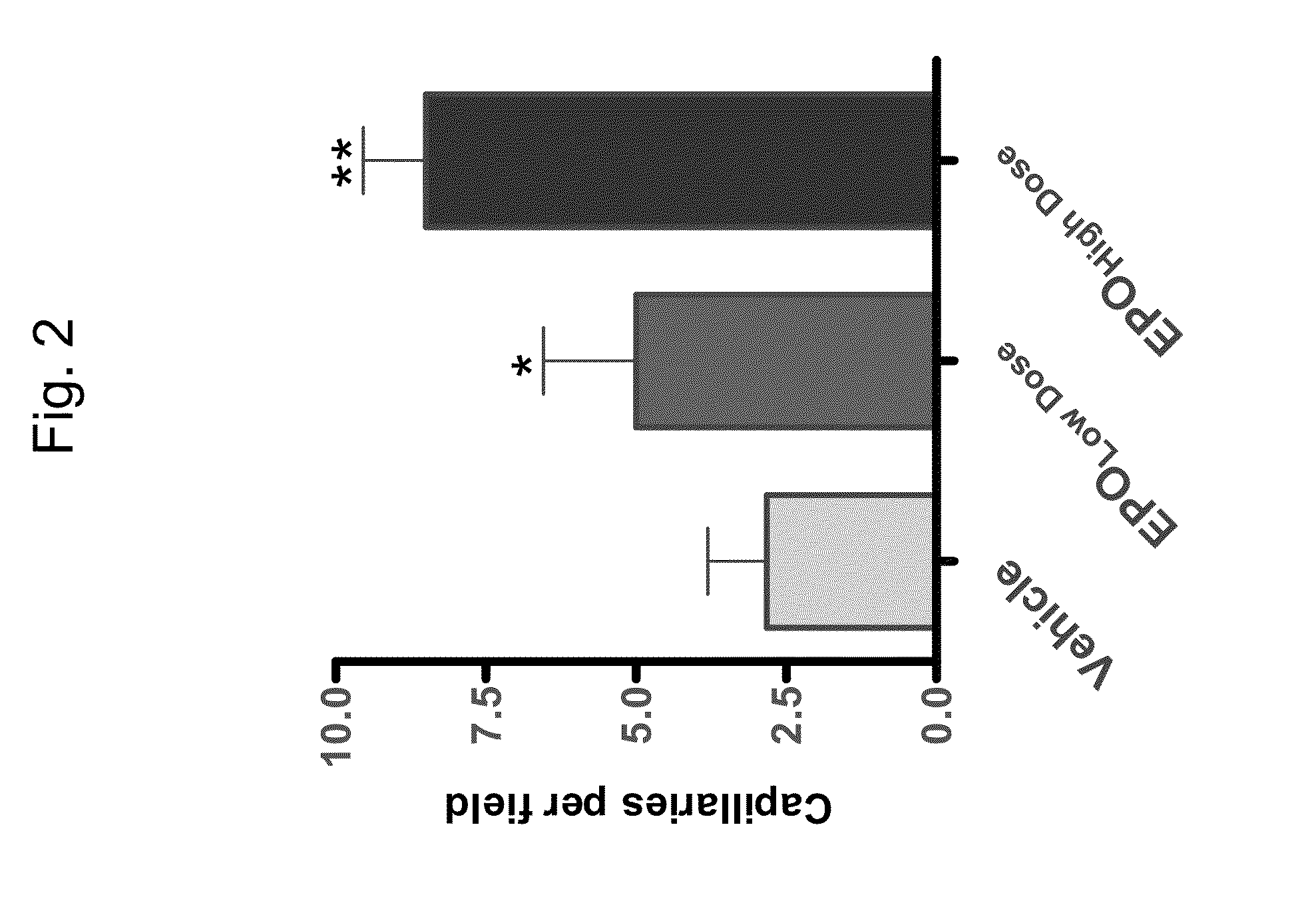 Erythropoietin and fibronectin compositions for therapeutic and cosmetic applications