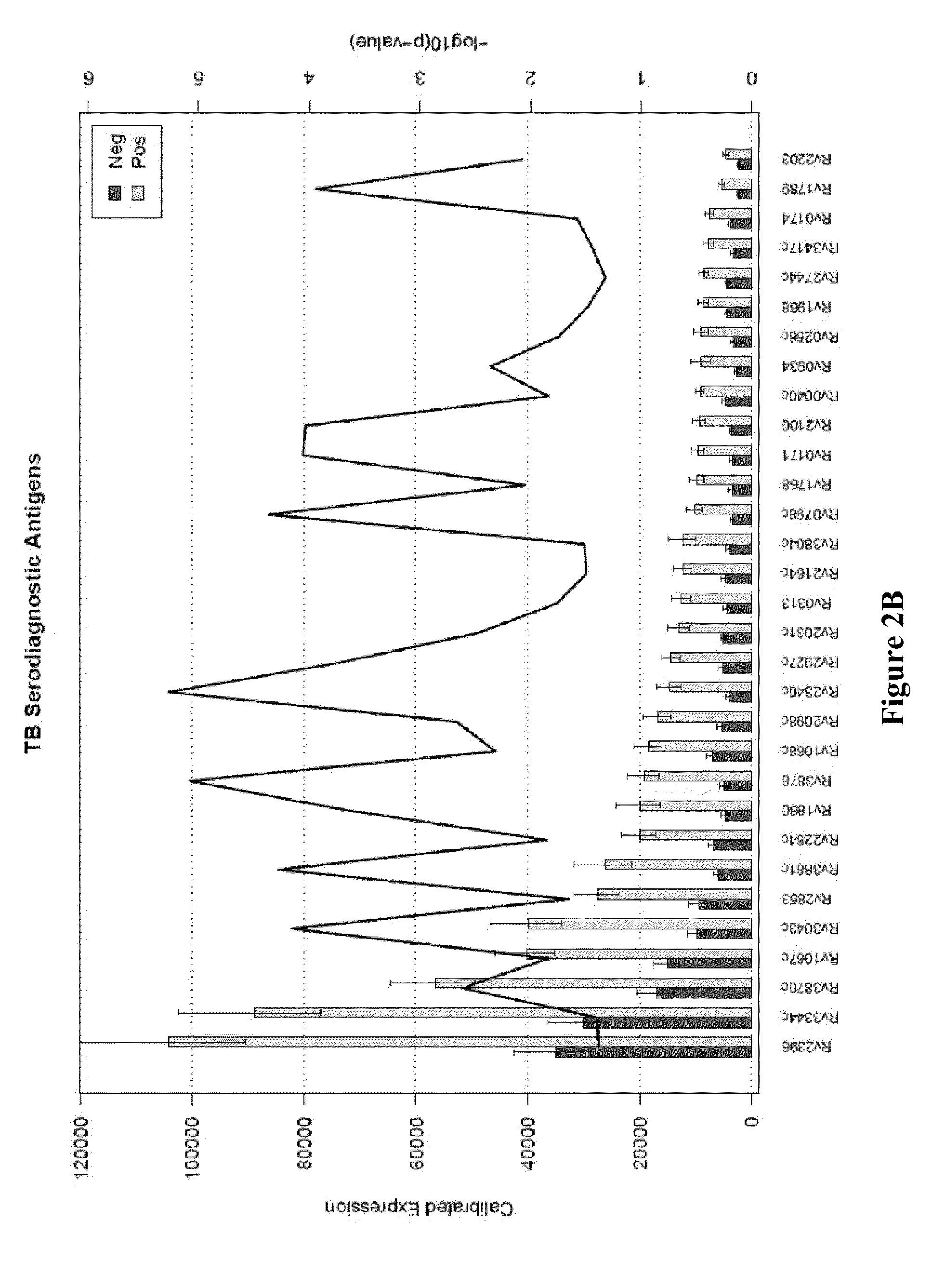 Compositions and methods for immunodominant antigens of <i>Mycobacterium tuberculosis </i>
