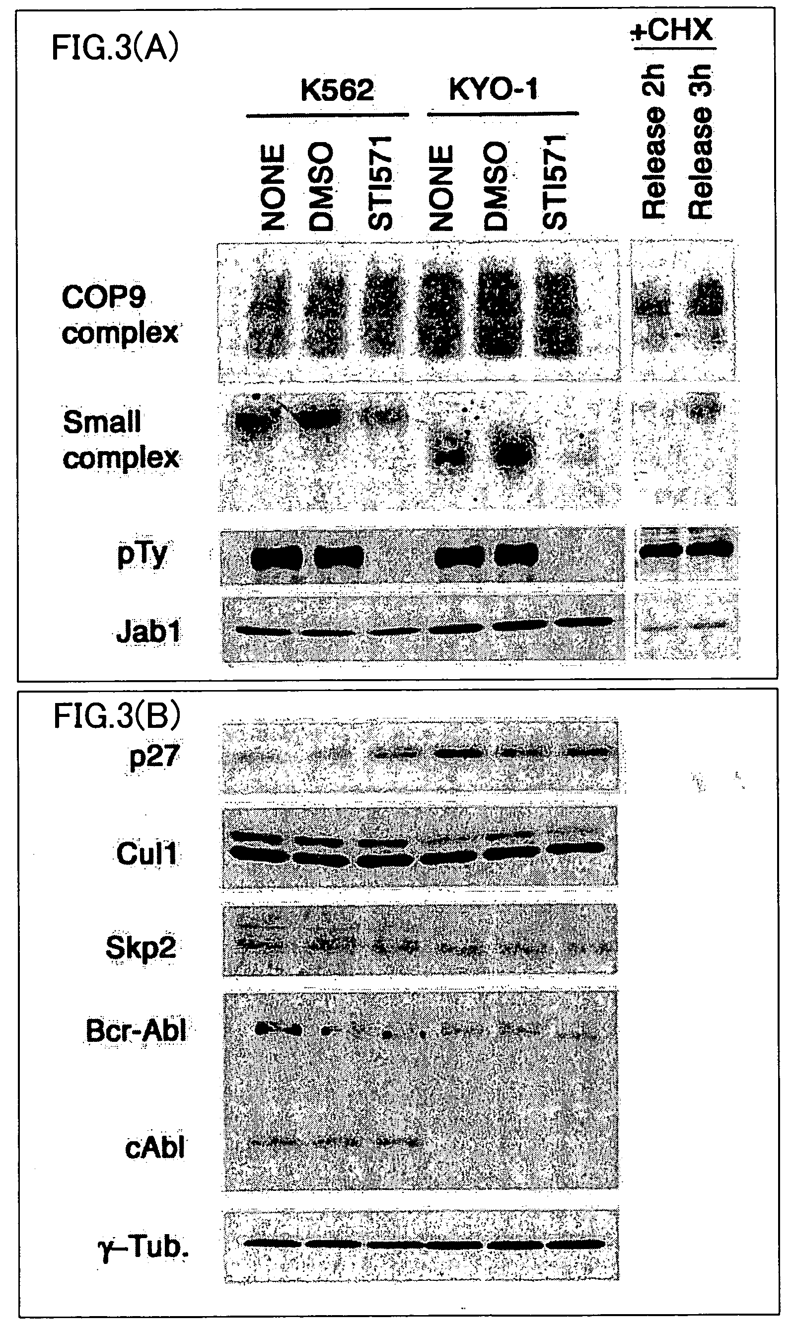 Method of determining efficacy of anticancer drug and determination kit therefor
