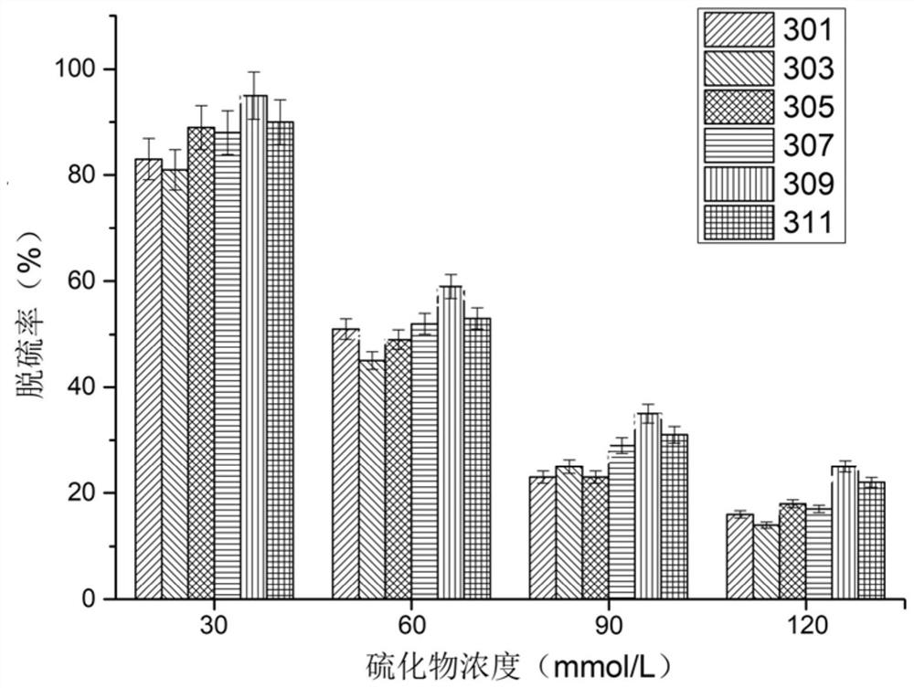 Breeding method and application of desulfurization strain with high sulfur oxidation performance