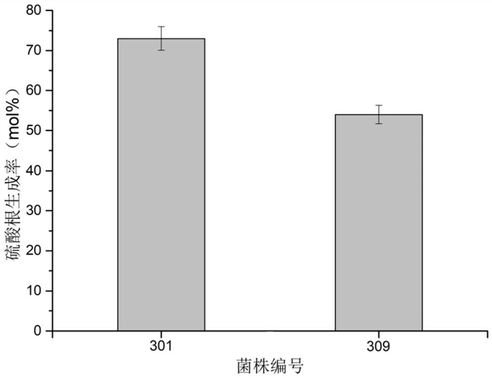 Breeding method and application of desulfurization strain with high sulfur oxidation performance