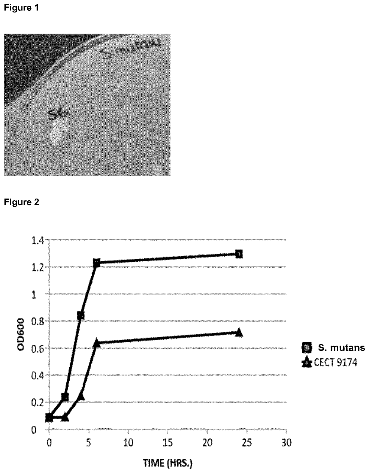 Antimicrobial strain