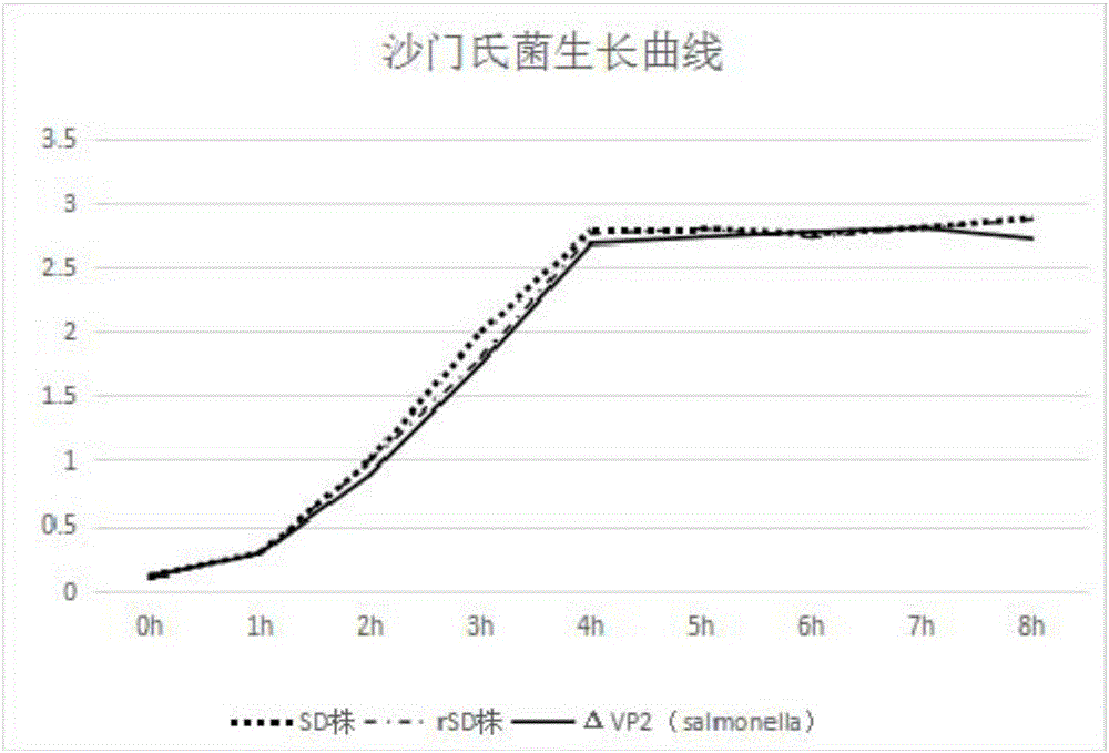 Recombinant attenuated Salmonella enteritidis vaccine